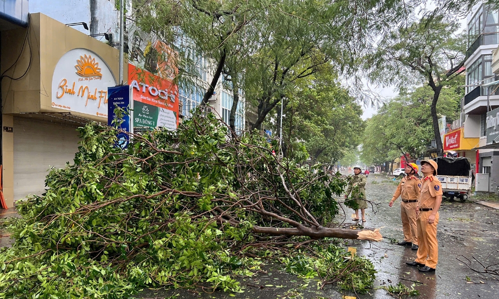 Hải Phòng: Thiệt hại nặng nề do bão Yagi