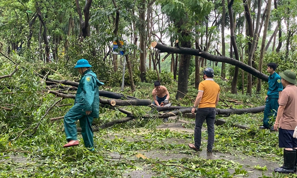 Hoàng Mai (Hà Nội): Người dân xuống đường dọn dẹp “tàn tích” sau siêu bão Yagi